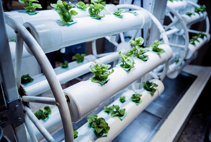 hydroponic tower garden