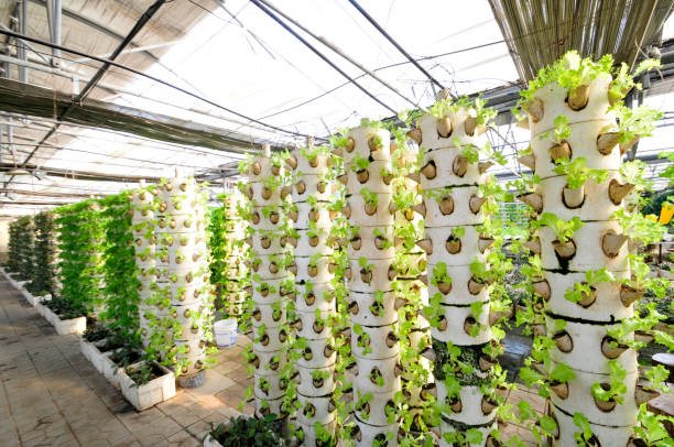 hydroponic tower garden