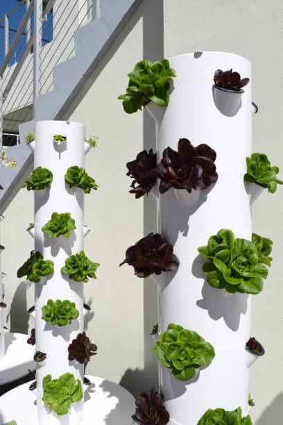 garden tower