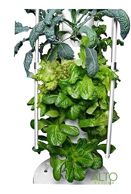 hydroponic tower