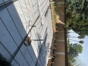 foundation contractor