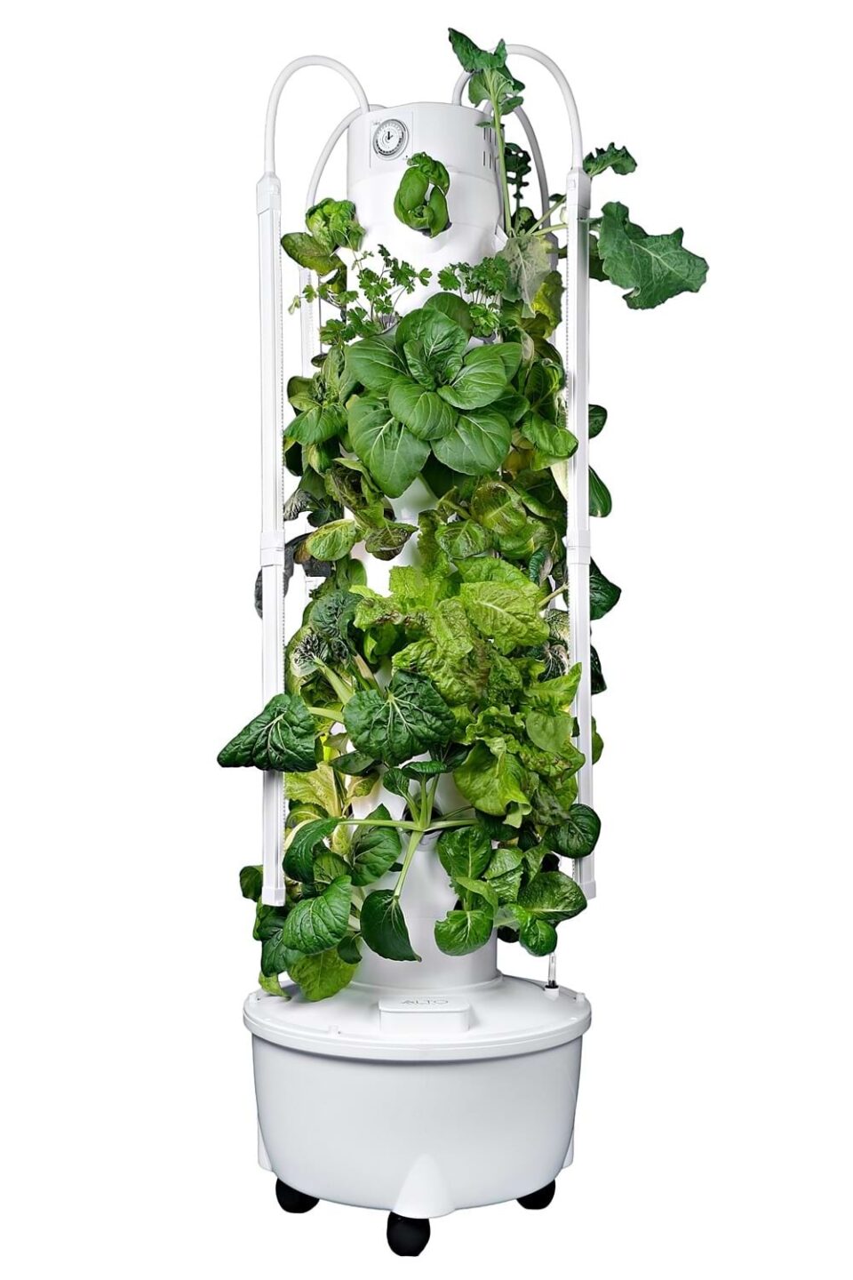 hydroponic gardening